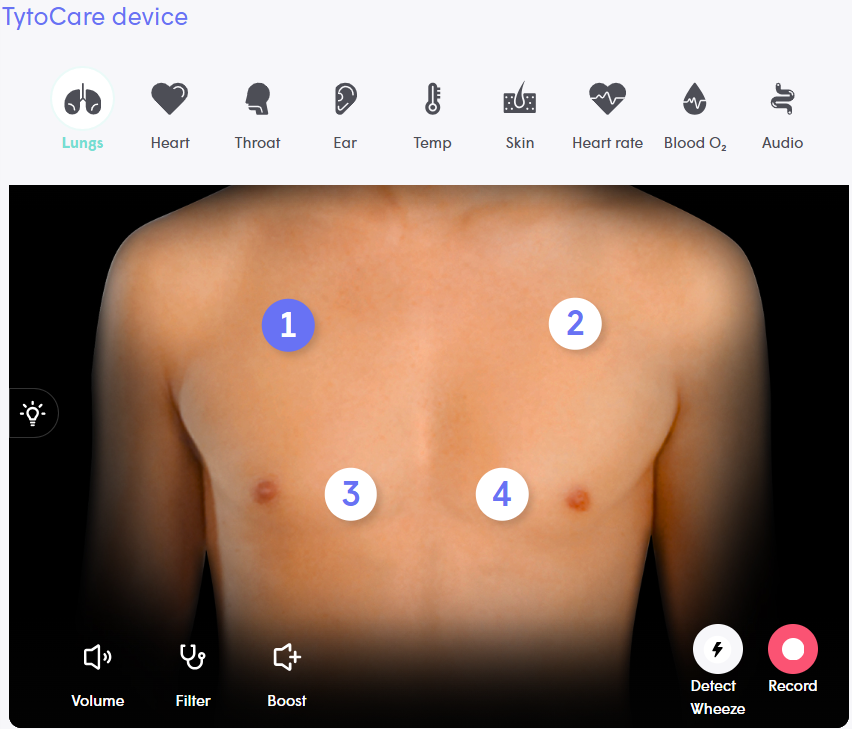 Clinician Station Wheeze Analysis